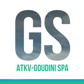 Goudini Spa logo
