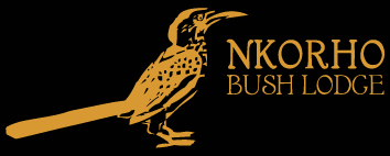 Nkorho Bush Lodge Logo