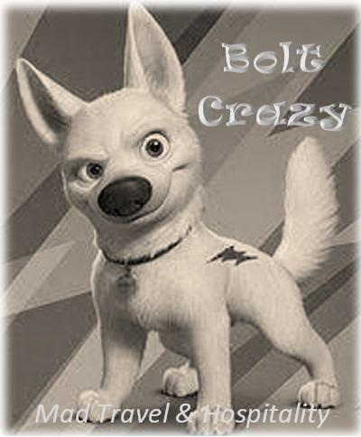 Bolt Crazy Logo.jpg